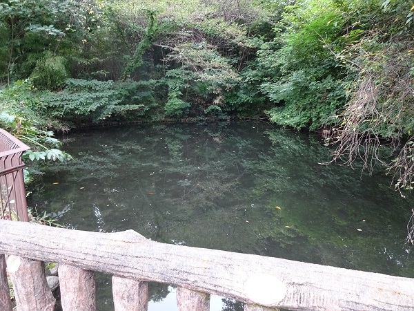 黒川清流公園の貯水池
