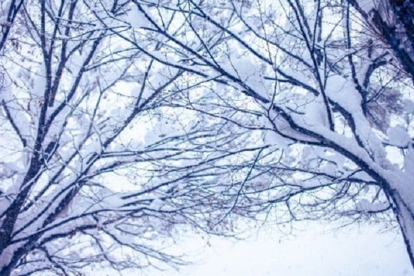 【必見】やってみてわかった雪かきのコツ！！