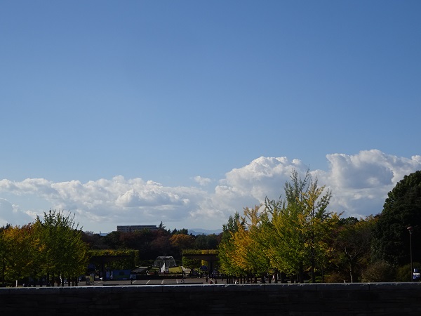 昭和記念公園上空を望む景色